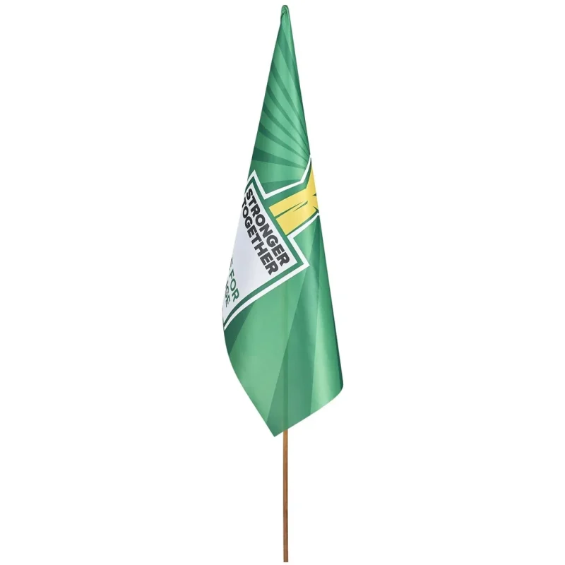 Champion Large Hand Flag 900mm x 600mm product image