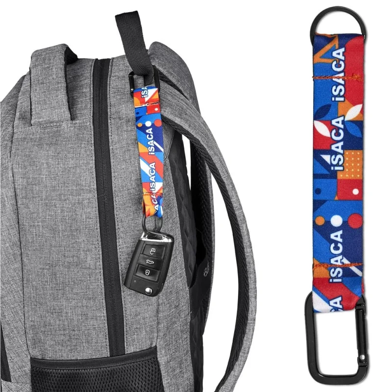 Altitude Straptique Carabiner Keyholder product image